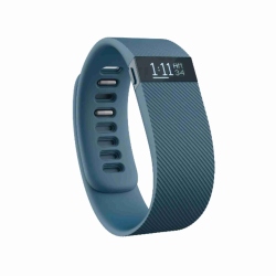 Obrázek Fitbit Charge