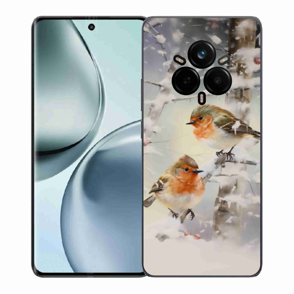 Gél borítás mmCase a Realme 14 Pro+ 5G számára - madarak télen