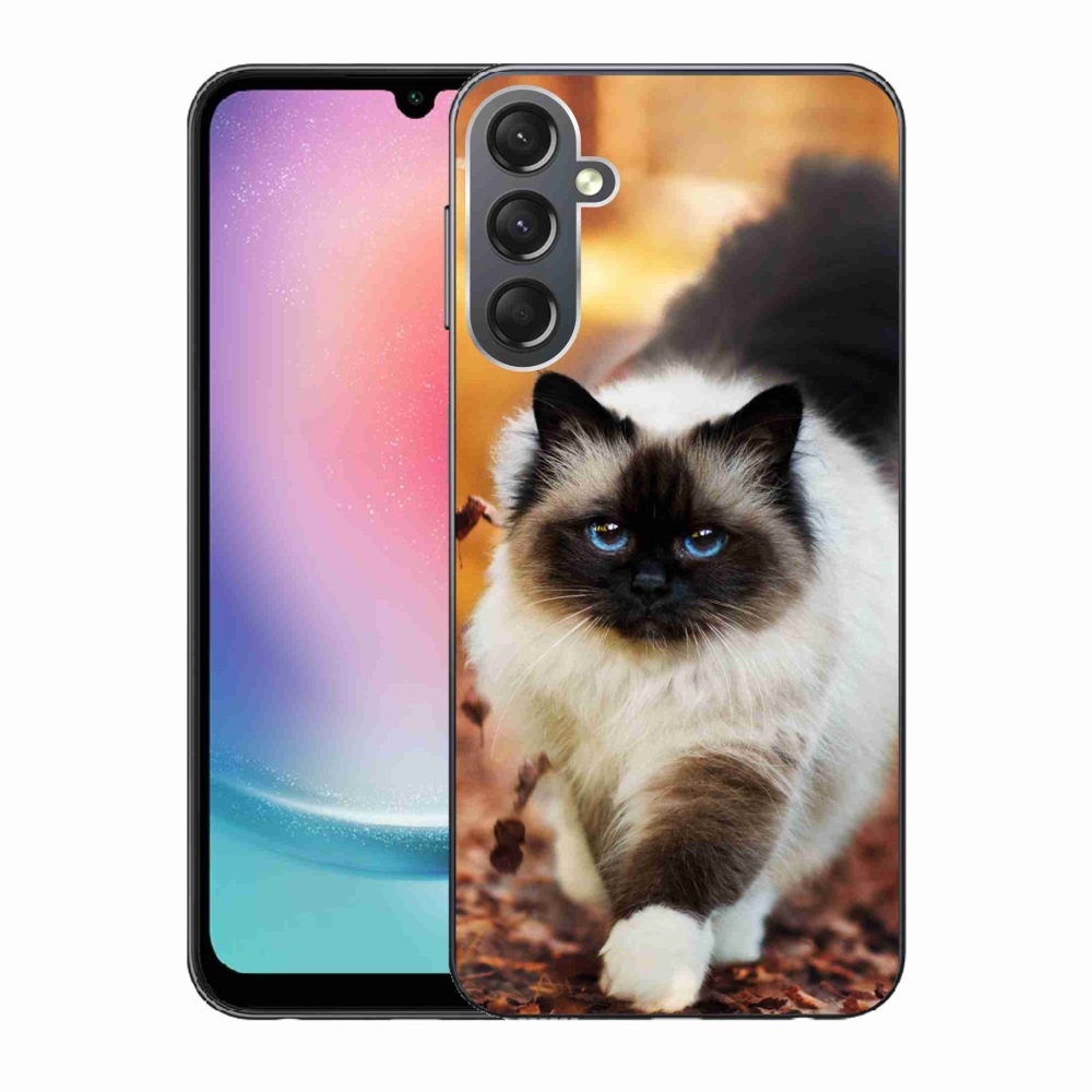 Gél tok mmCase a Samsung Galaxy A24 készülékhez - macska