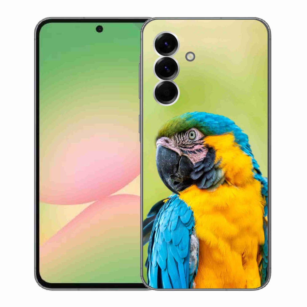 Zselés borítás mmCase Samsung Galaxy A56 5G - papagáj ara 2