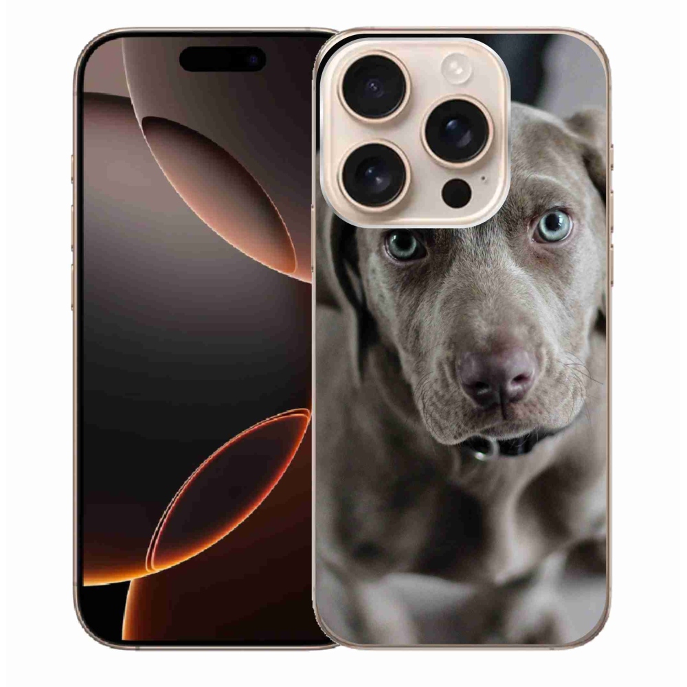 Gél tok mmCase iPhone 16 Pro Max készülékhez - Exotic Pointer