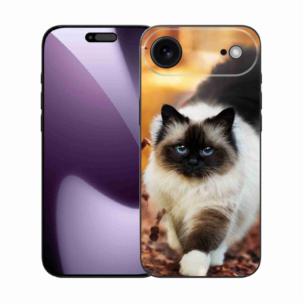 Zselés borítás mmCase iPhone 17 Air készülékhez - macska