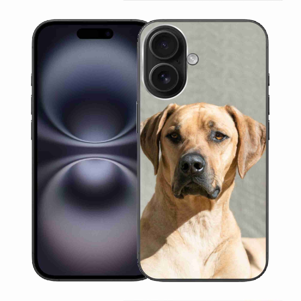 Gél borítás mmCase iPhone 16 készülékhez - ridgeback