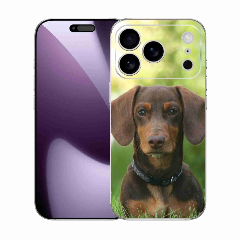 Zselés borítás mmCase iPhone 17 Pro készülékhez - barna tacskó