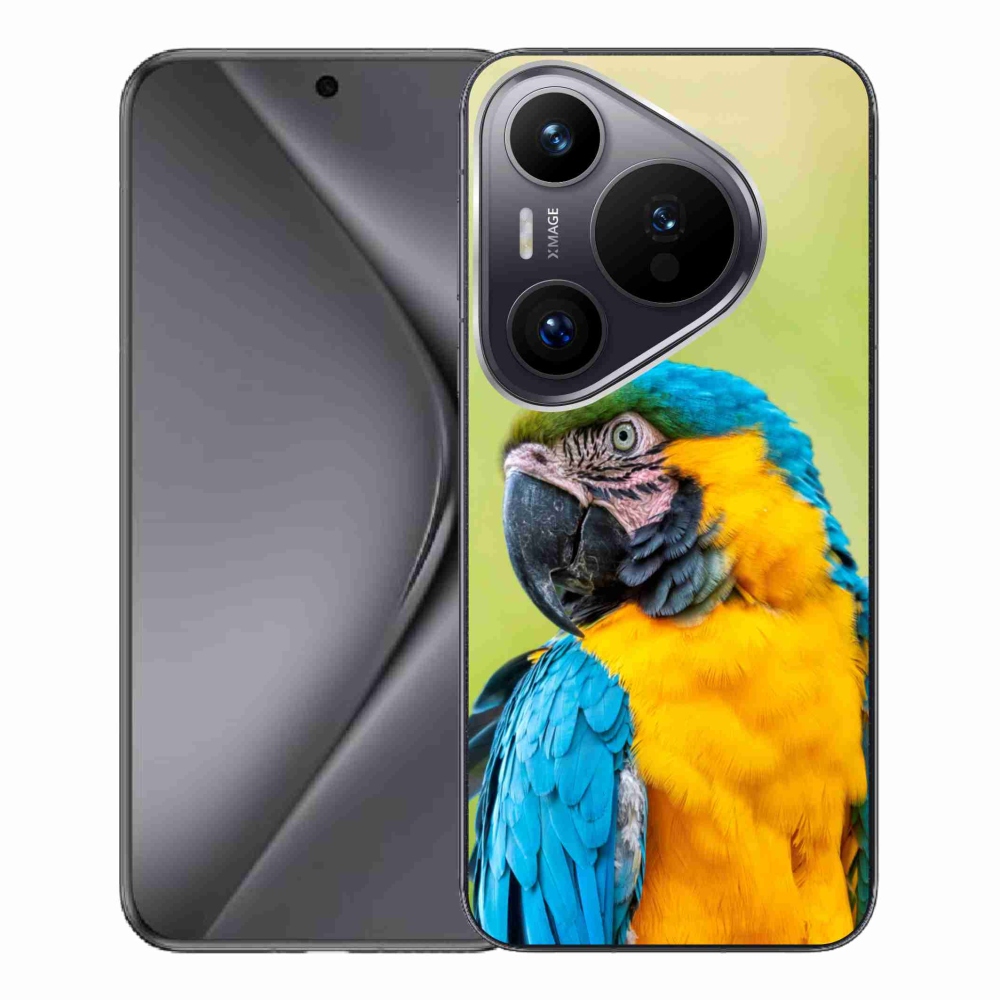 Gél tok mmCase a Huawei Pura 70 Pro készülékhez - papagáj ara 2