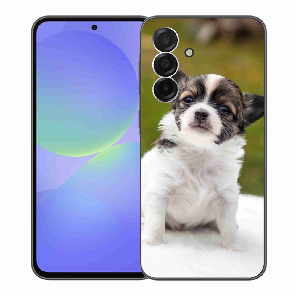 Gél borítás mmCase Samsung Galaxy A36 5G - chihuahua 4