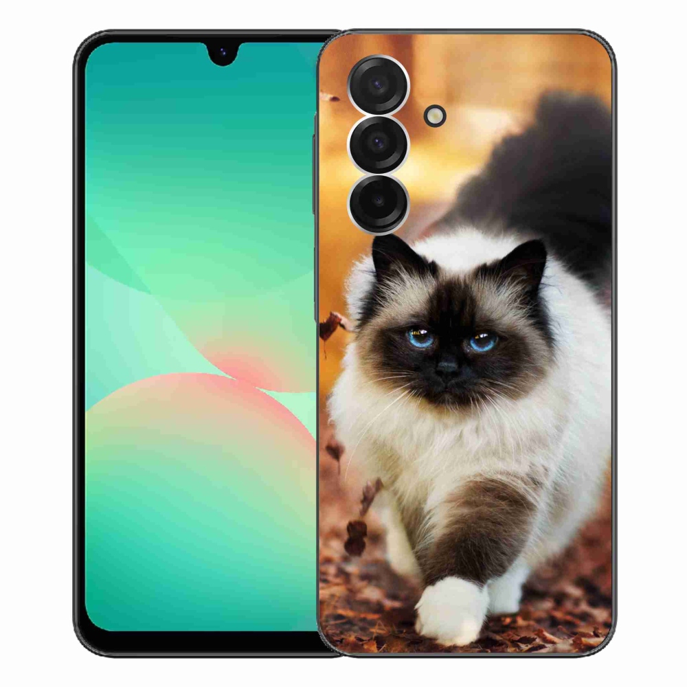 Zselés borítás mmCase Samsung Galaxy A26 5G - macska