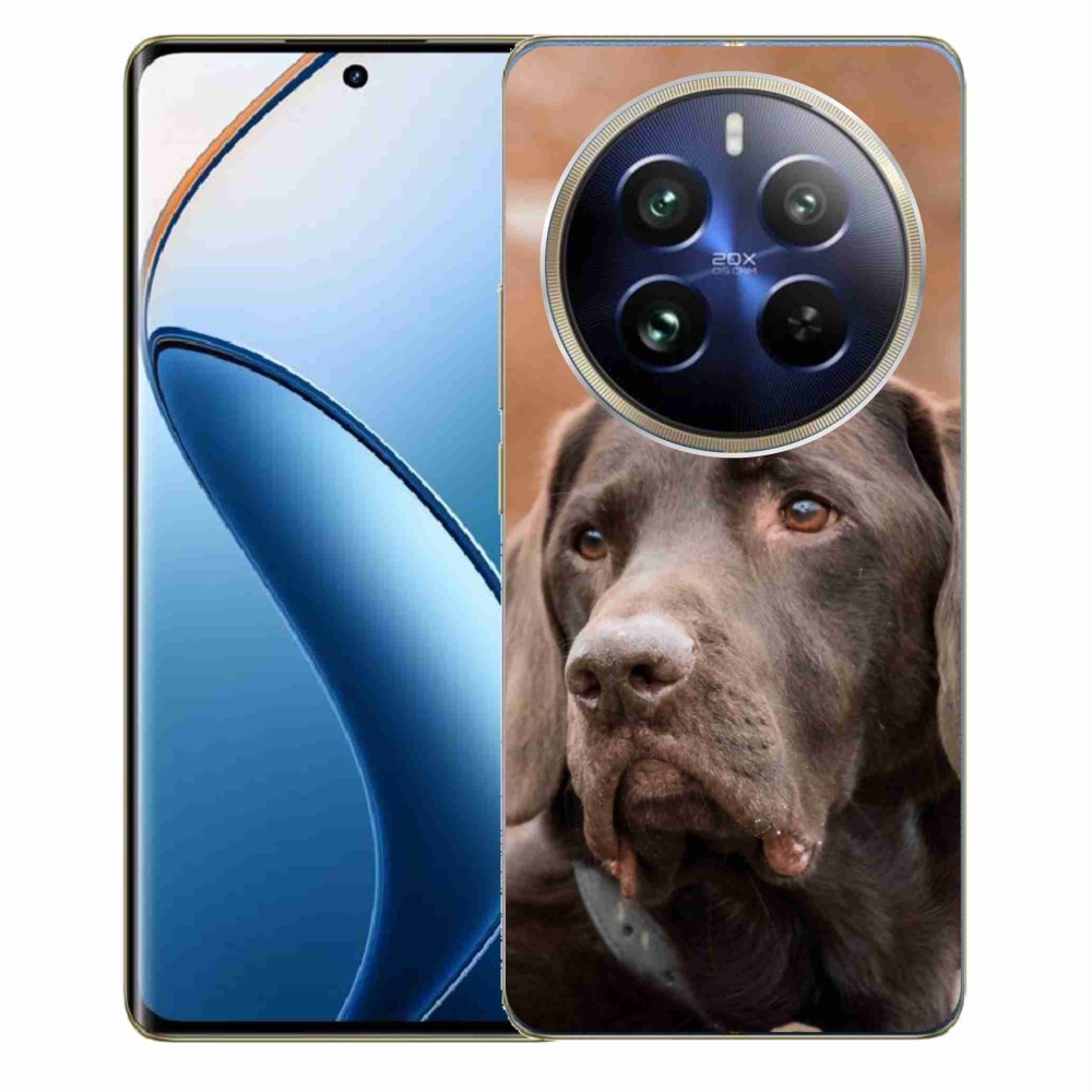 Gél tok mmCase a Realme 12 Pro 5G/12 Pro+ 5G számára - barna labrador színű