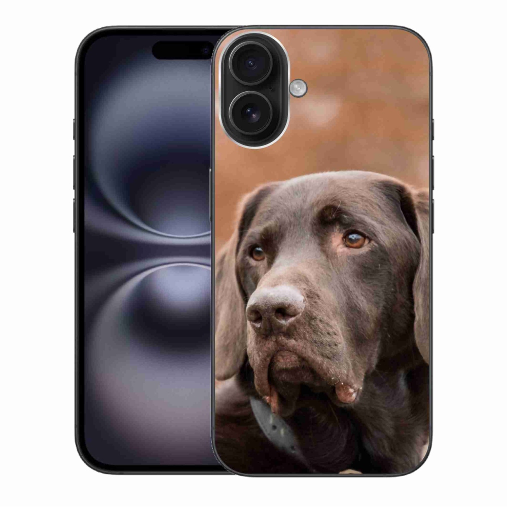Gél tok mmCase iPhone 16 Plus készülékhez - barna labrador