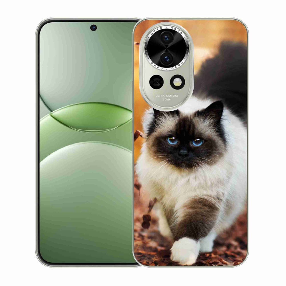 Gél borítás mmCase a Huawei Nova 13 5G készülékhez - macska