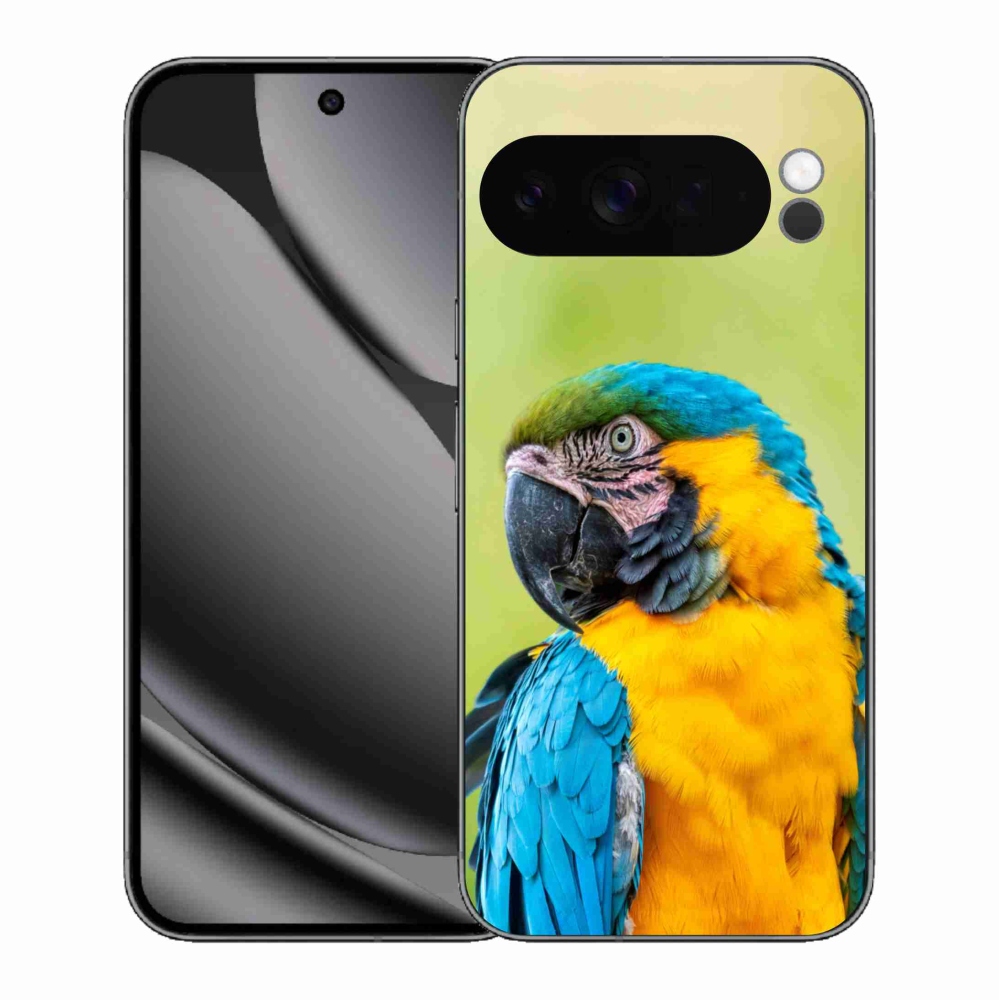 Zselés borítás mmCase a Google Pixel 10 Pro XL-hez - papagáj ara 2