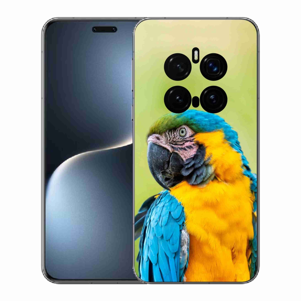 Gél borítás mmCase a Honor Magic 7 Pro 5G készülékhez - papagáj ara 2