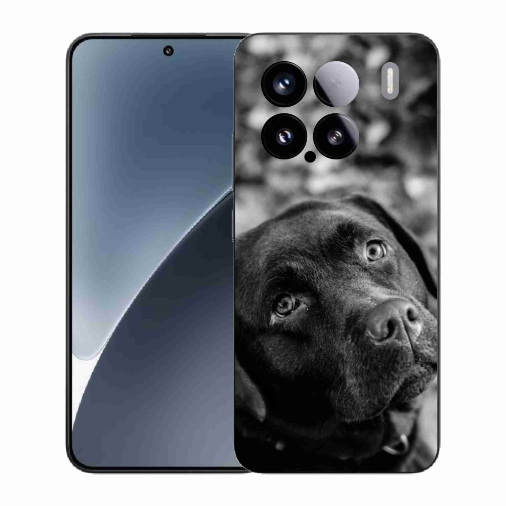 Gél borítás mmCase a Xiaomi 15-hez - labrador