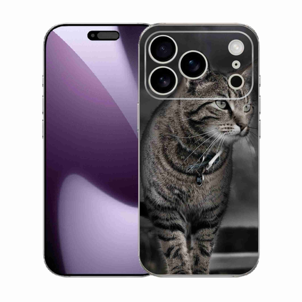 Zselés borítás mmCase iPhone 17 Pro készülékhez - macska