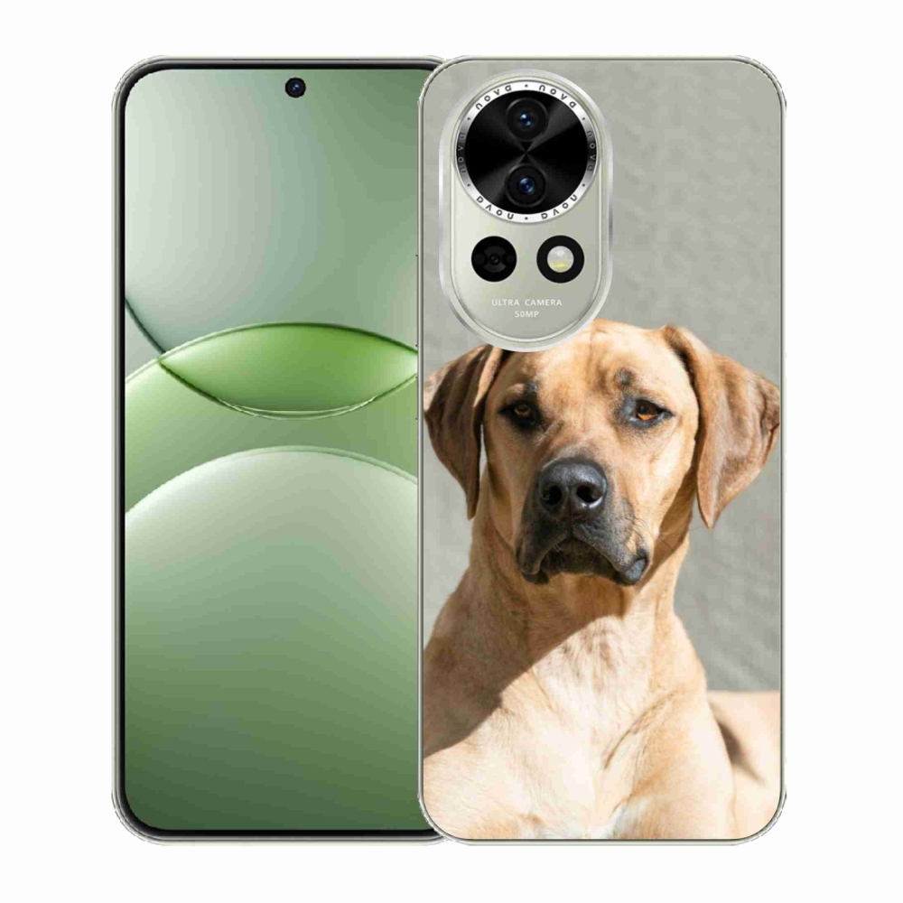 Gél borítás mmCase a Huawei Nova 13 5G-n - ridgeback