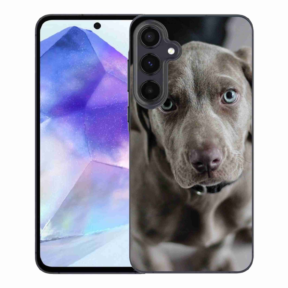 Gél tok mmCase a Samsung Galaxy A55 5G készülékhez - vymarský ohař