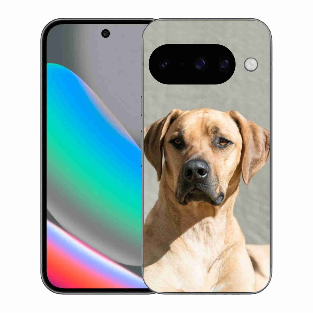 Zselés borítás mmCase a Google Pixel 10 számára - ridgeback