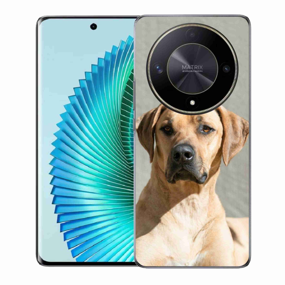 Gél borítás mmCase a Honor Magic 6 Lite 5G számára - ridgeback