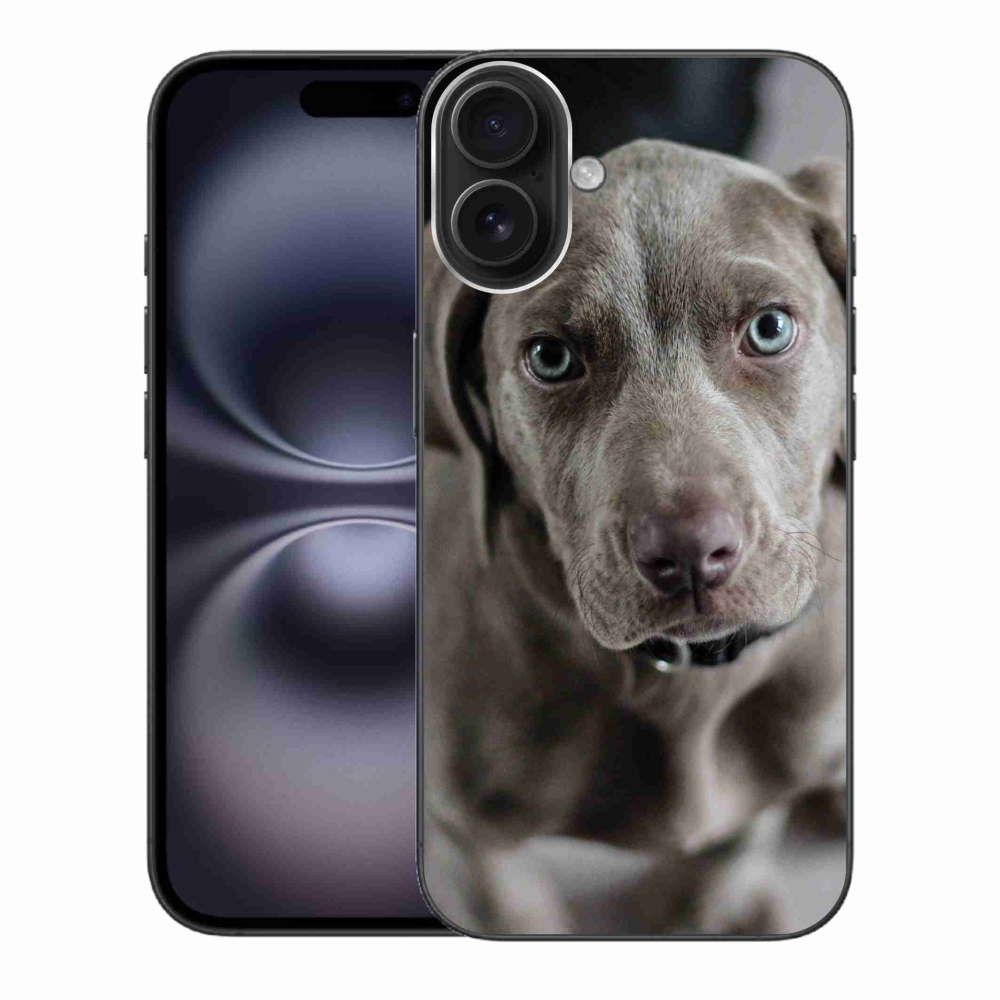 Gél tok mmCase iPhone 16 Plus készülékhez - Weimaraner