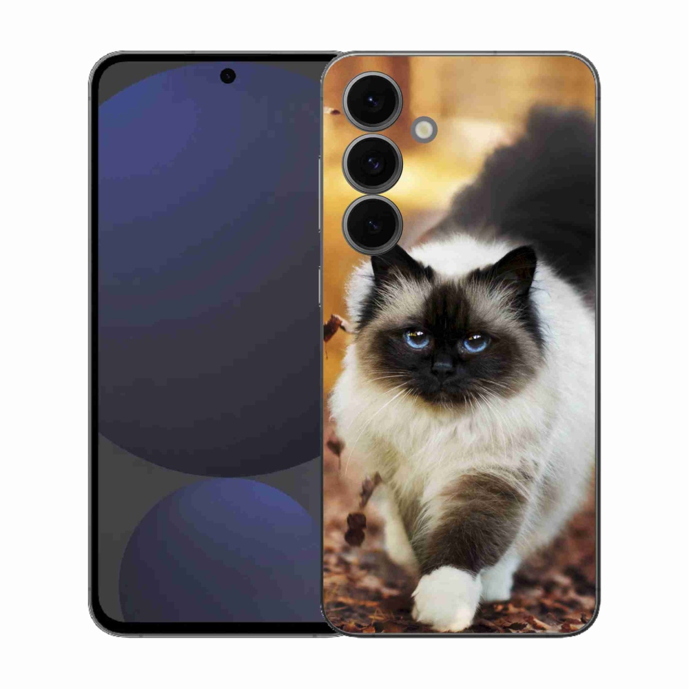 Zselés borítás mmCase Samsung Galaxy S25 FE - macska