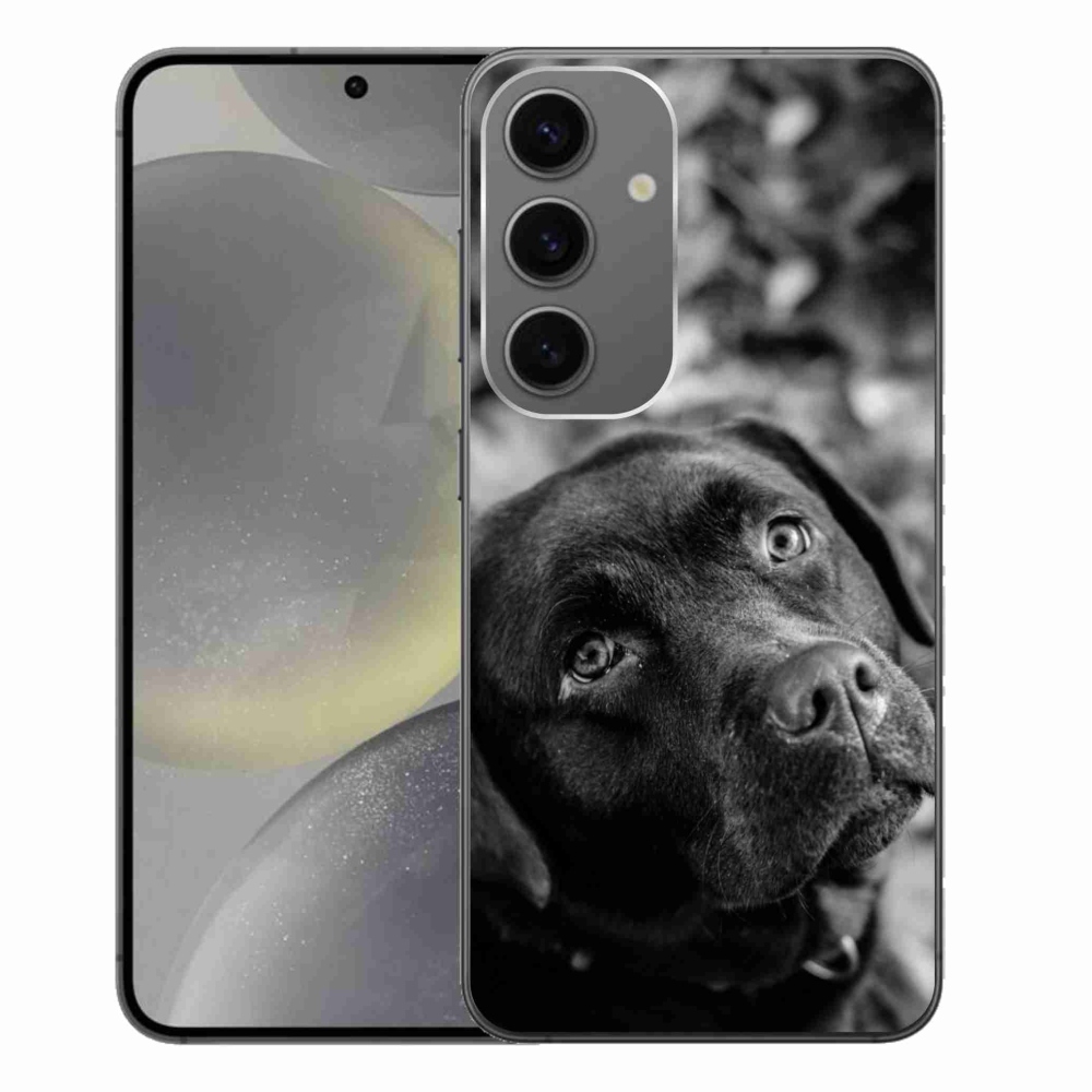 Gél tok mmCase Samsung Galaxy S24+ készülékhez - labrador