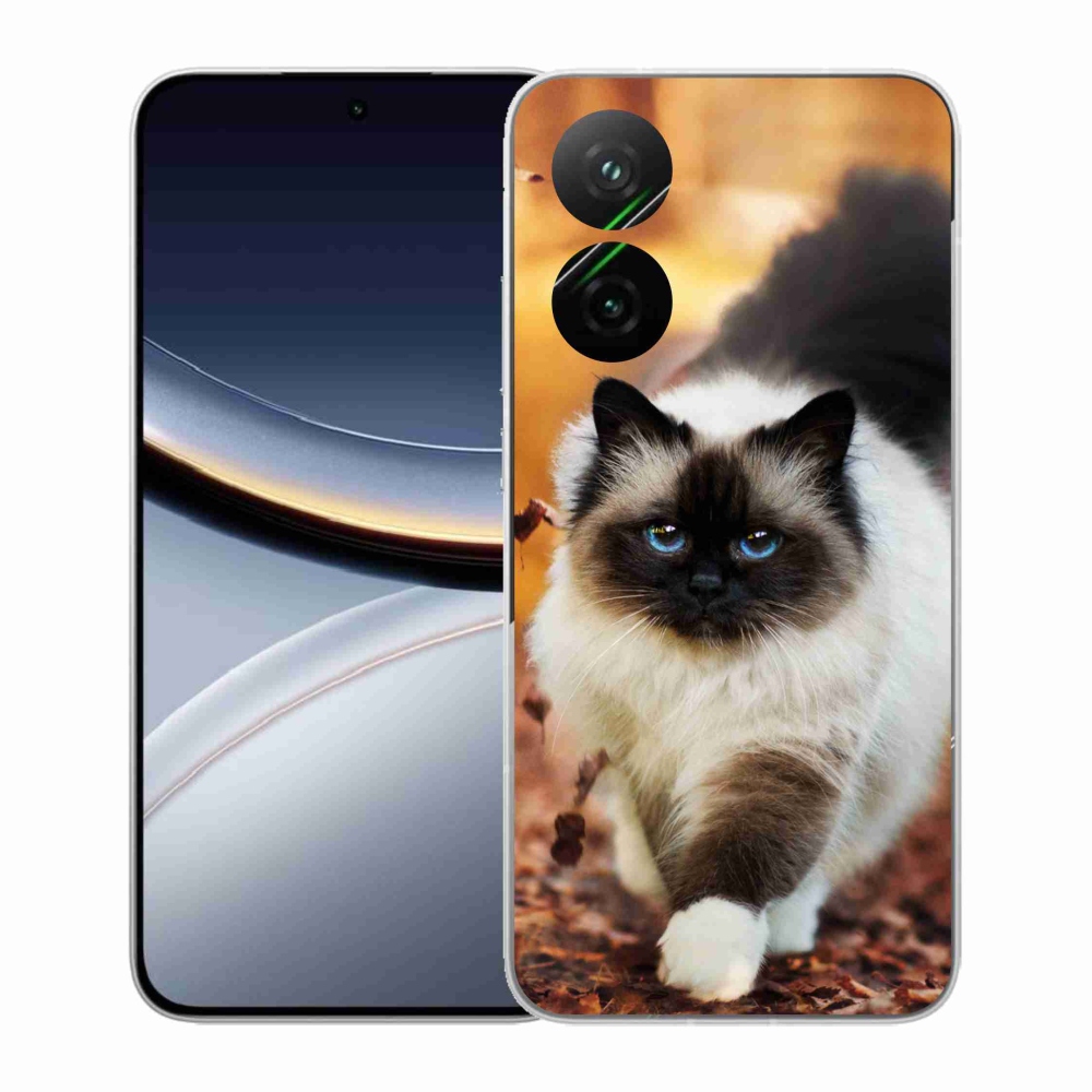 Gél borítás mmCase a Xiaomi Poco F7 5G-hez - macska