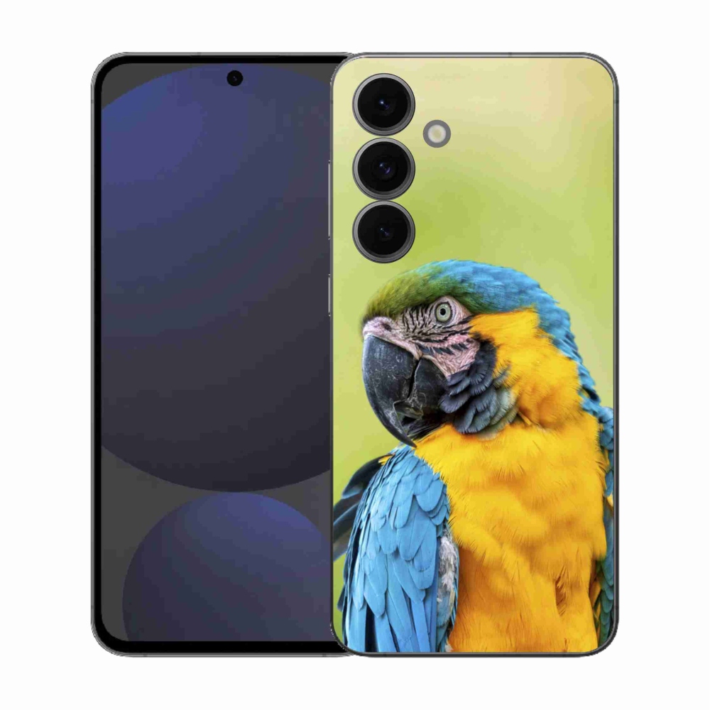 Zselés borítás mmCase Samsung Galaxy S25 FE - papagáj ara 2