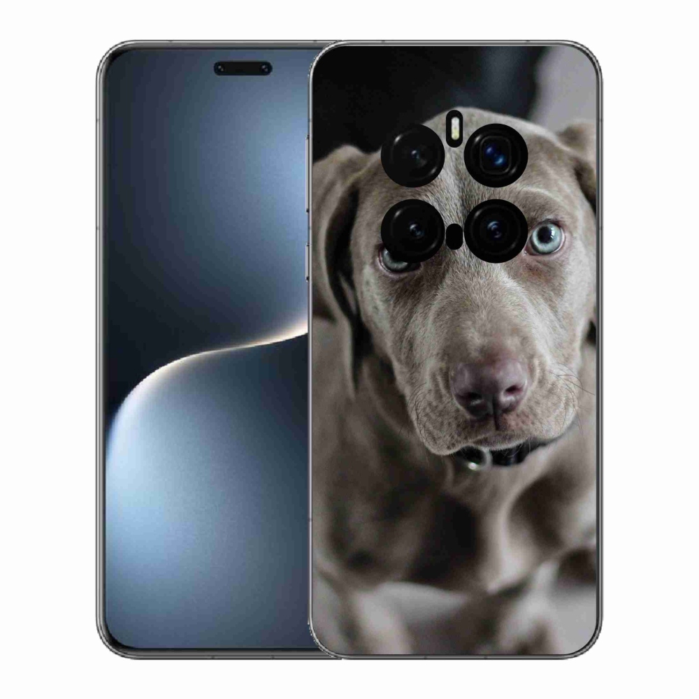 Gél borítás mmCase a Honor Magic 7 Pro 5G számára - a nemes vadászkutya