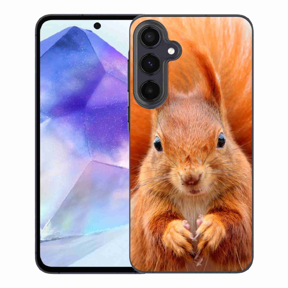 Zselés borítás mmCase Samsung Galaxy A55 5G - mókus