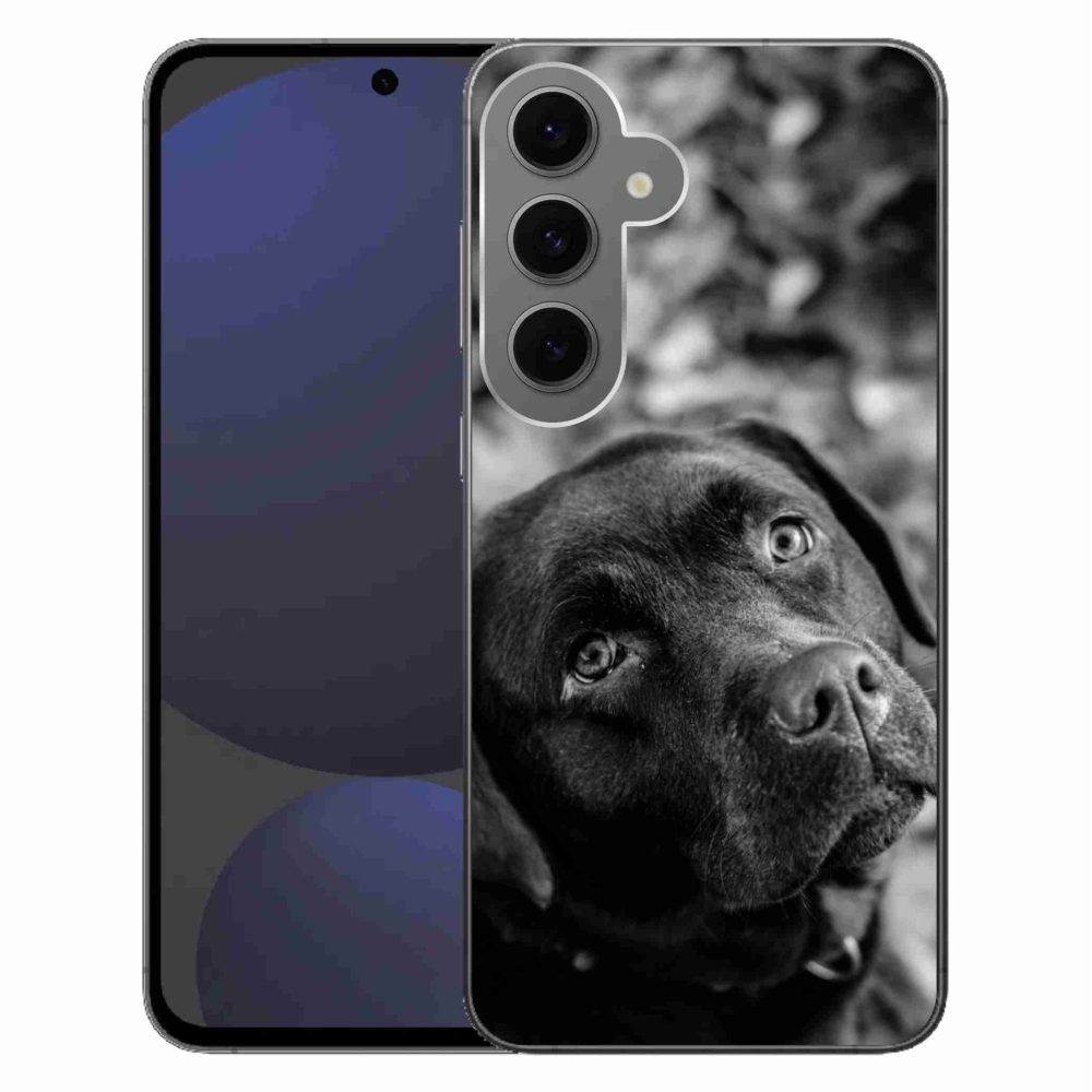 Gél tok mmCase Samsung Galaxy S24 FE készülékhez - labrador színű