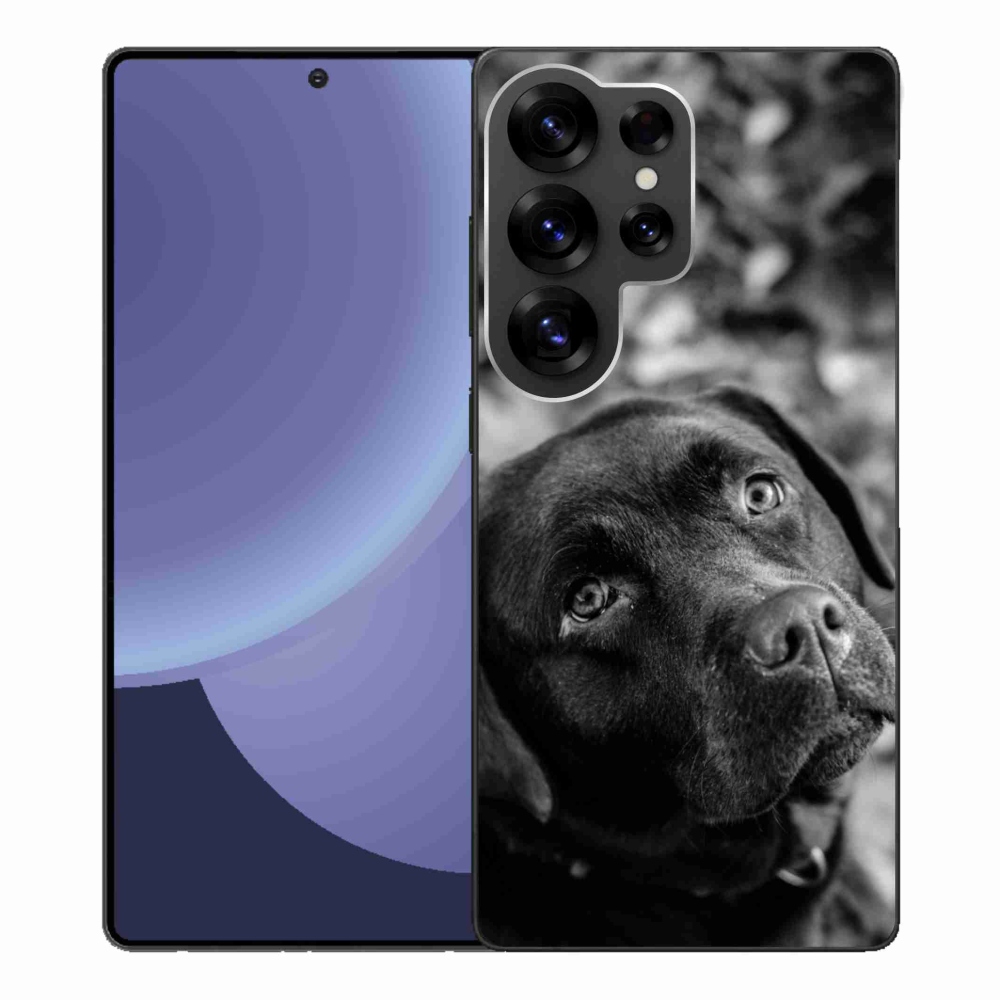 Zselés borítás mmCase Samsung Galaxy S25 Ultra készülékhez - labrador