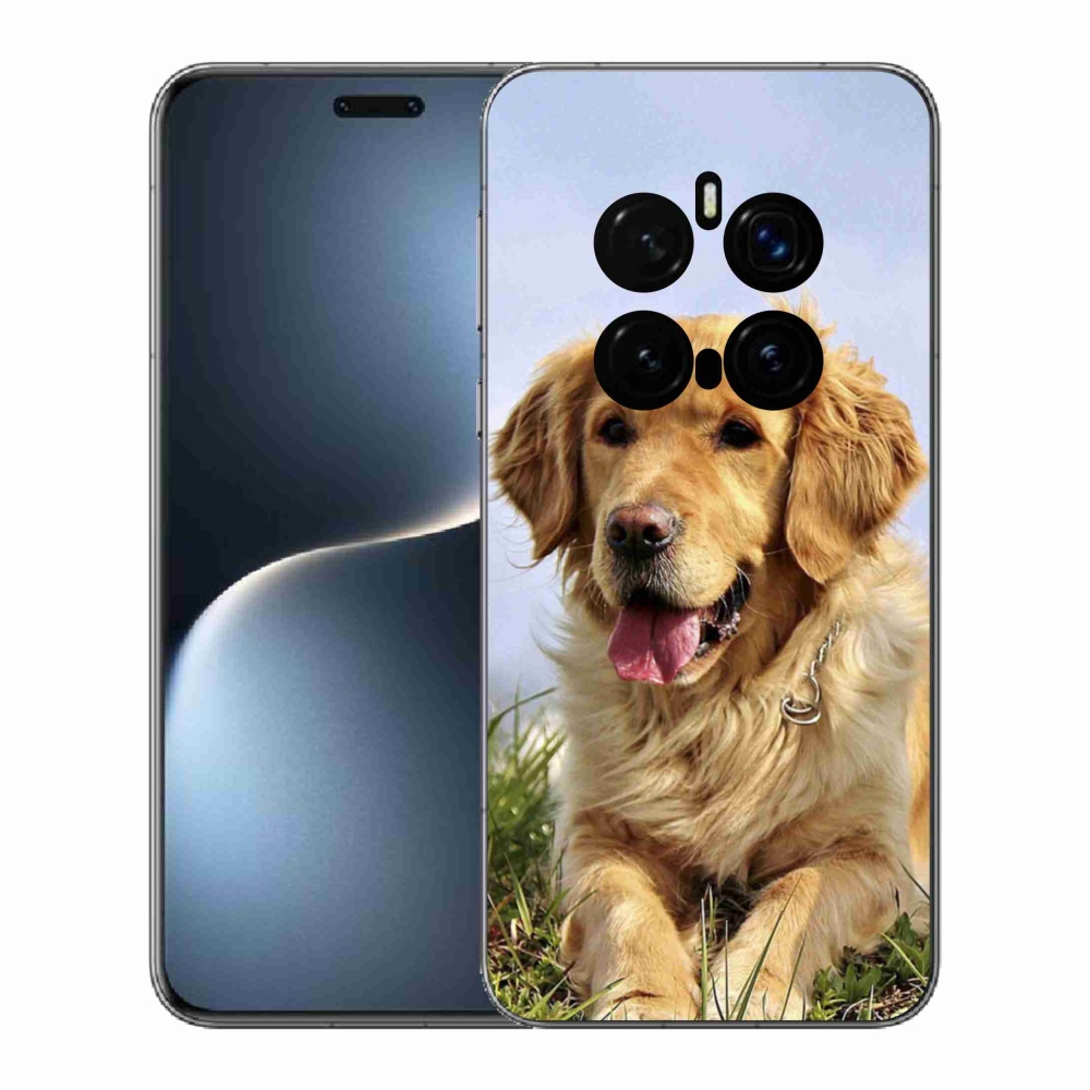 Zselés borítás mmCase a Honor Magic 7 Pro 5G számára - arany retriever