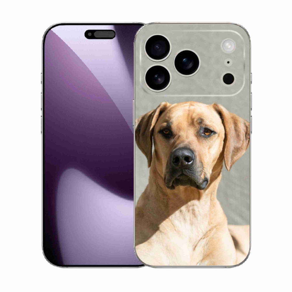 Gél borítás mmCase iPhone 17 Pro készülékhez - ridgeback