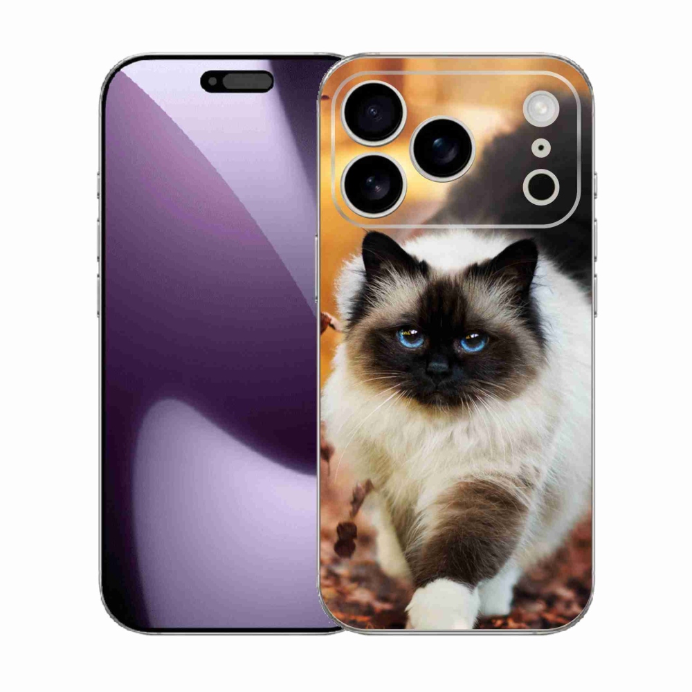 Zselés borítás mmCase iPhone 17 Pro készülékhez - macska