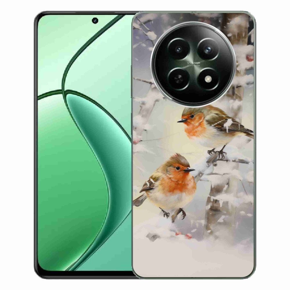 Gél borítás mmCase a Realme 12 5G/12x 5G számára - madarak télen