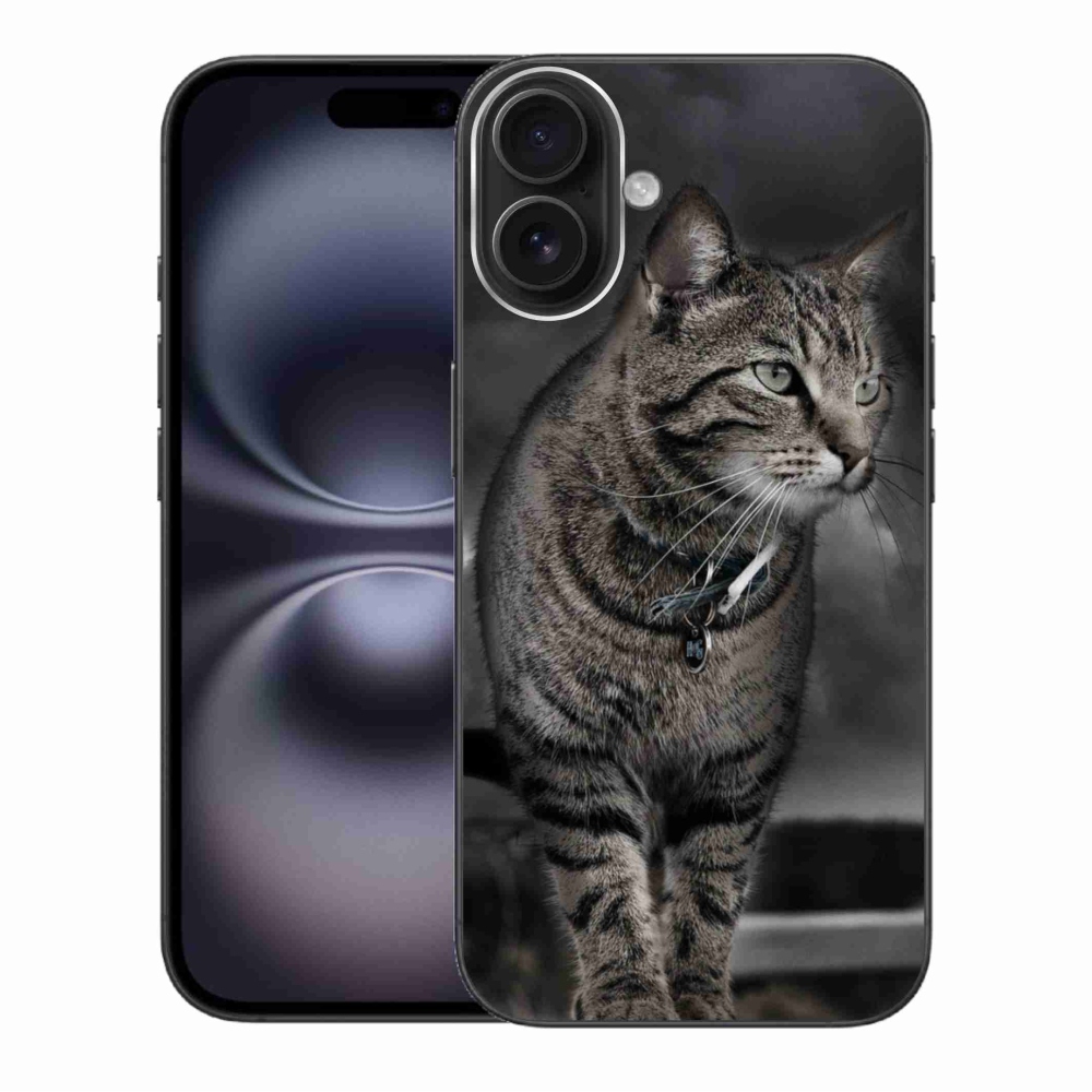 Zselés borítás mmCase iPhone 16 Plus készülékhez - macska