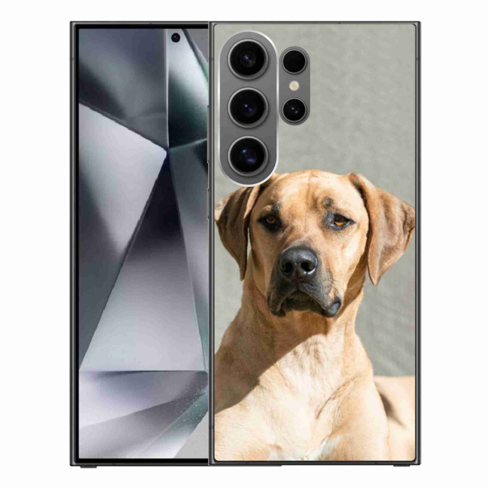 Zselés borítás mmCase Samsung Galaxy S24 Ultra készülékhez - ridgeback