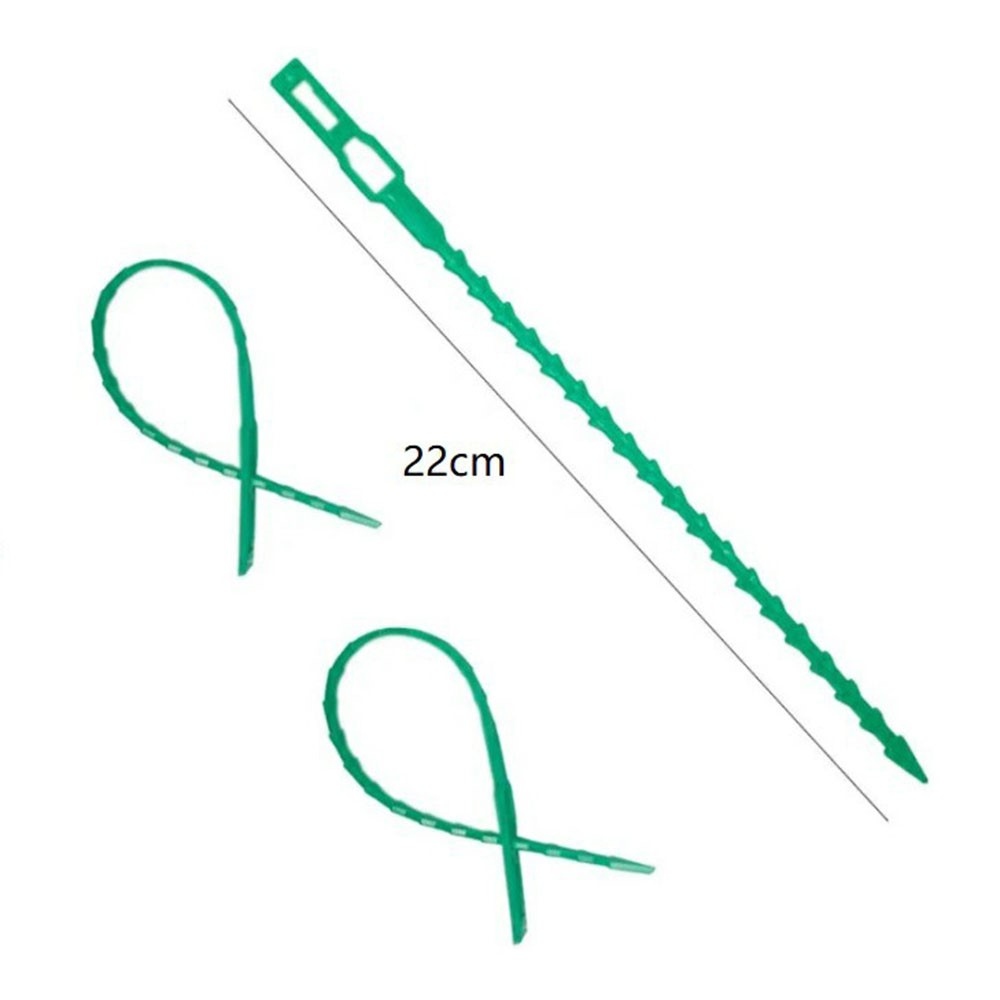 Kerti növényrögzítő szalagok 22 cm (50 db) - zöld