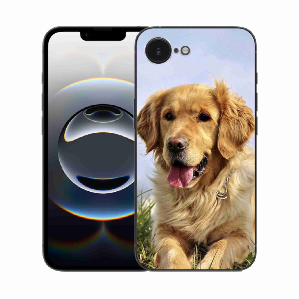 Gél borítás mmCase iPhone 16e készülékhez - arany retriever