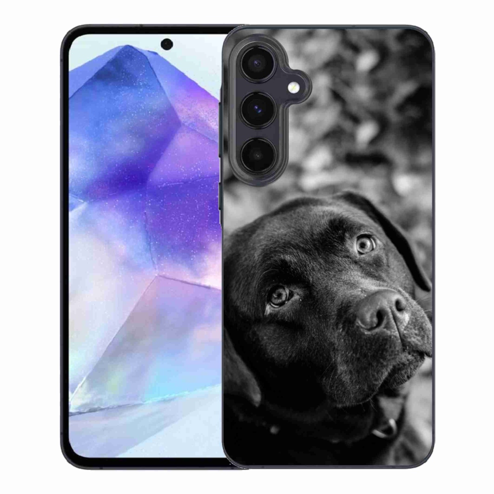 Gél tok mmCase a Samsung Galaxy A55 5G készülékhez - labrador színű