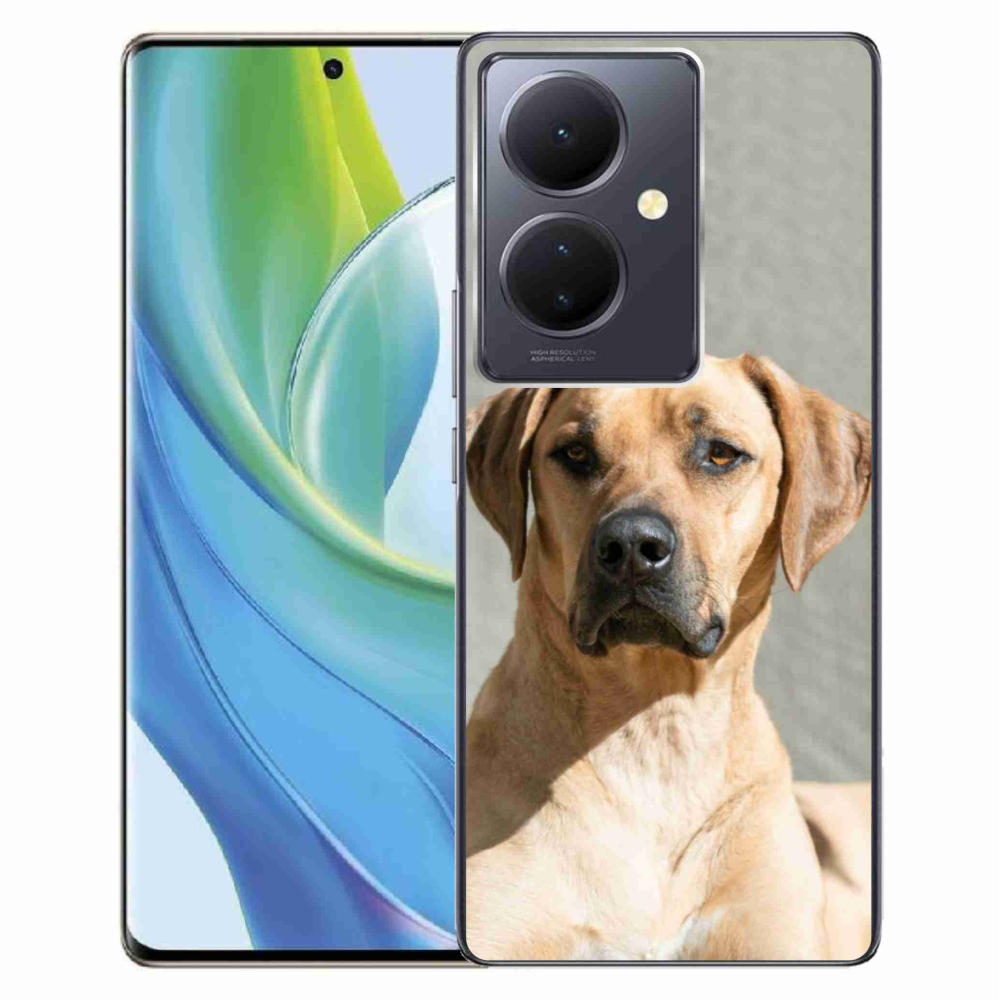 Gél borítás mmCase a Vivo V29 Lite 5G készülékhez - ridgeback