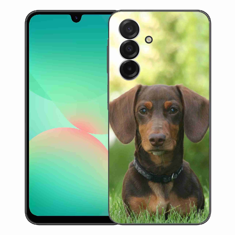 Zselés borítás mmCase Samsung Galaxy A26 5G - barna tacskóhoz