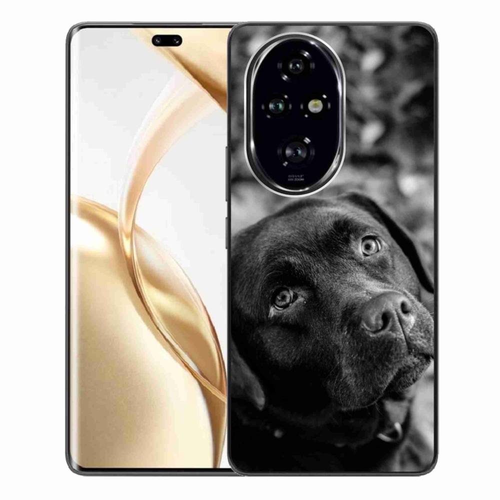 Gél tok mmCase a Honor 200 Pro 5G készülékhez - labrador