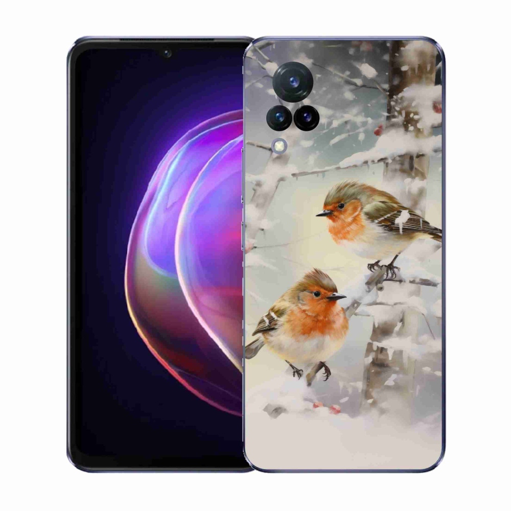 Gél borítás mmCase a Vivo V21 4G/5G készülékhez - madarak télen
