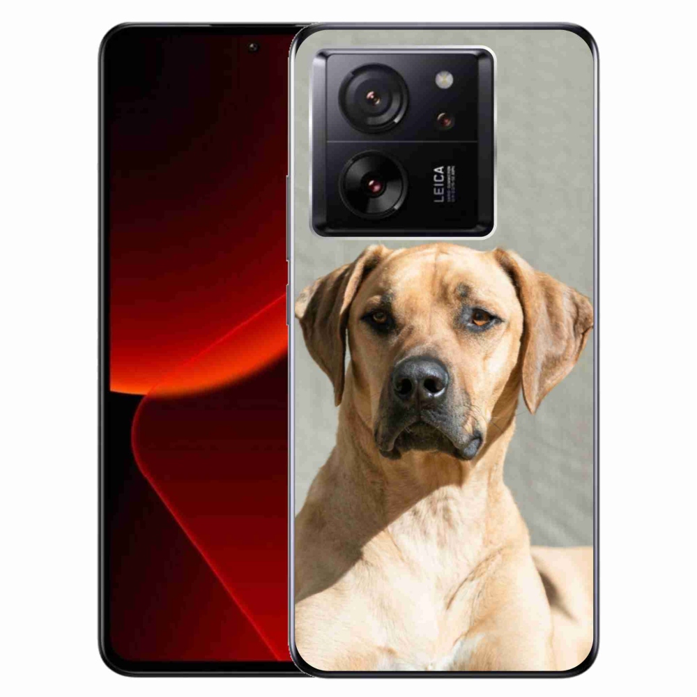 Gél borítás mmCase a Xiaomi 13T/13T Pro számára - ridgeback