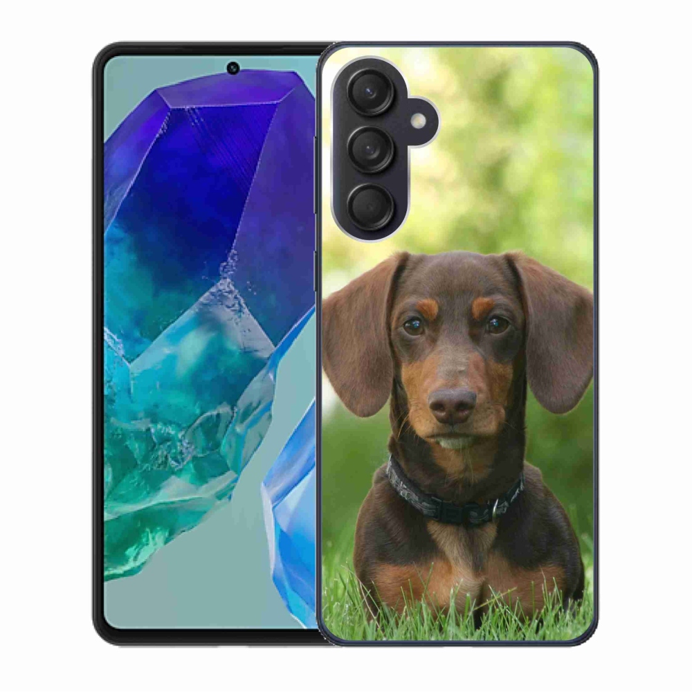 Gél tok mmCase a Samsung Galaxy M55 5G készülékhez - barna tacskó