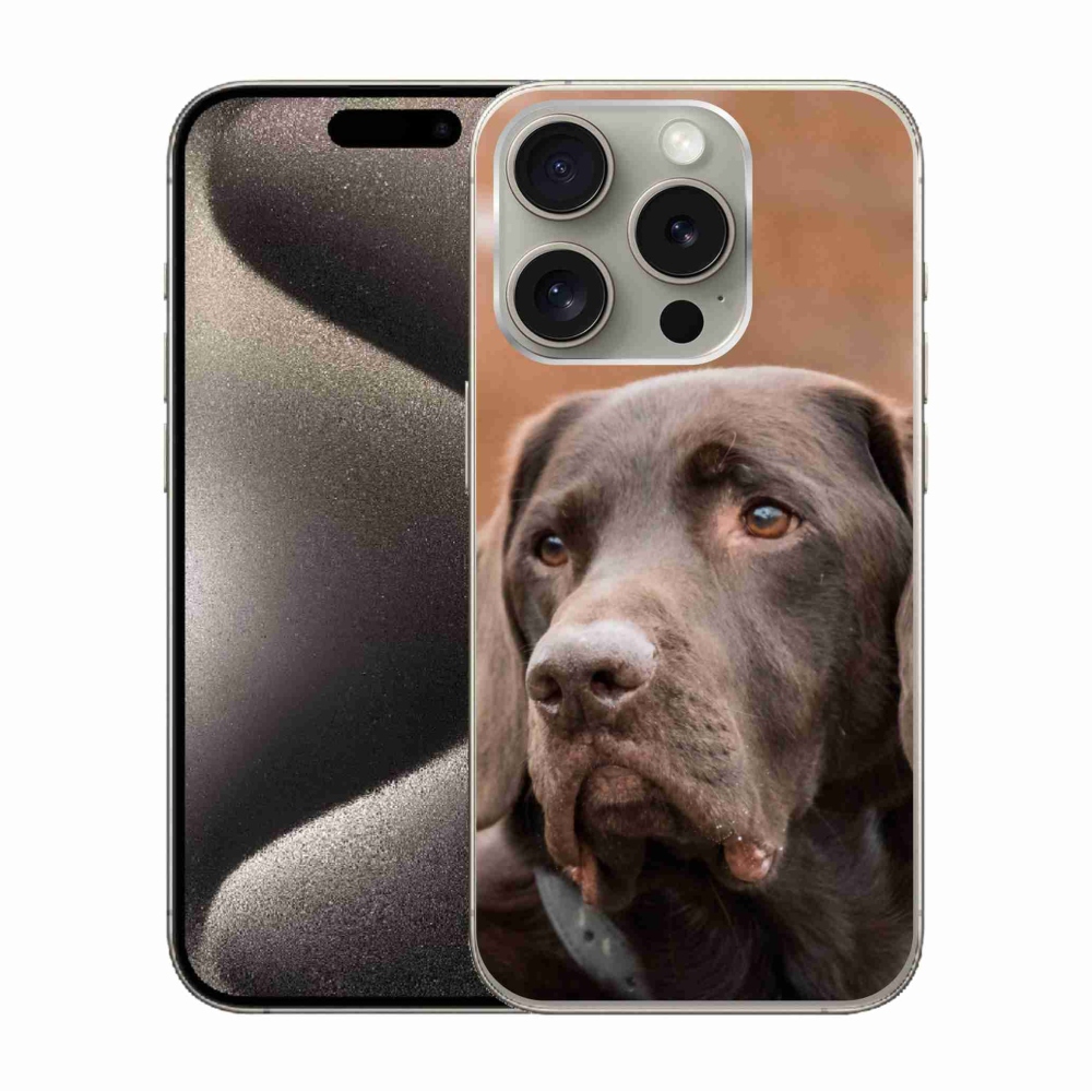Gél tok mmCase iPhone 15 Pro készülékre - barna labrador