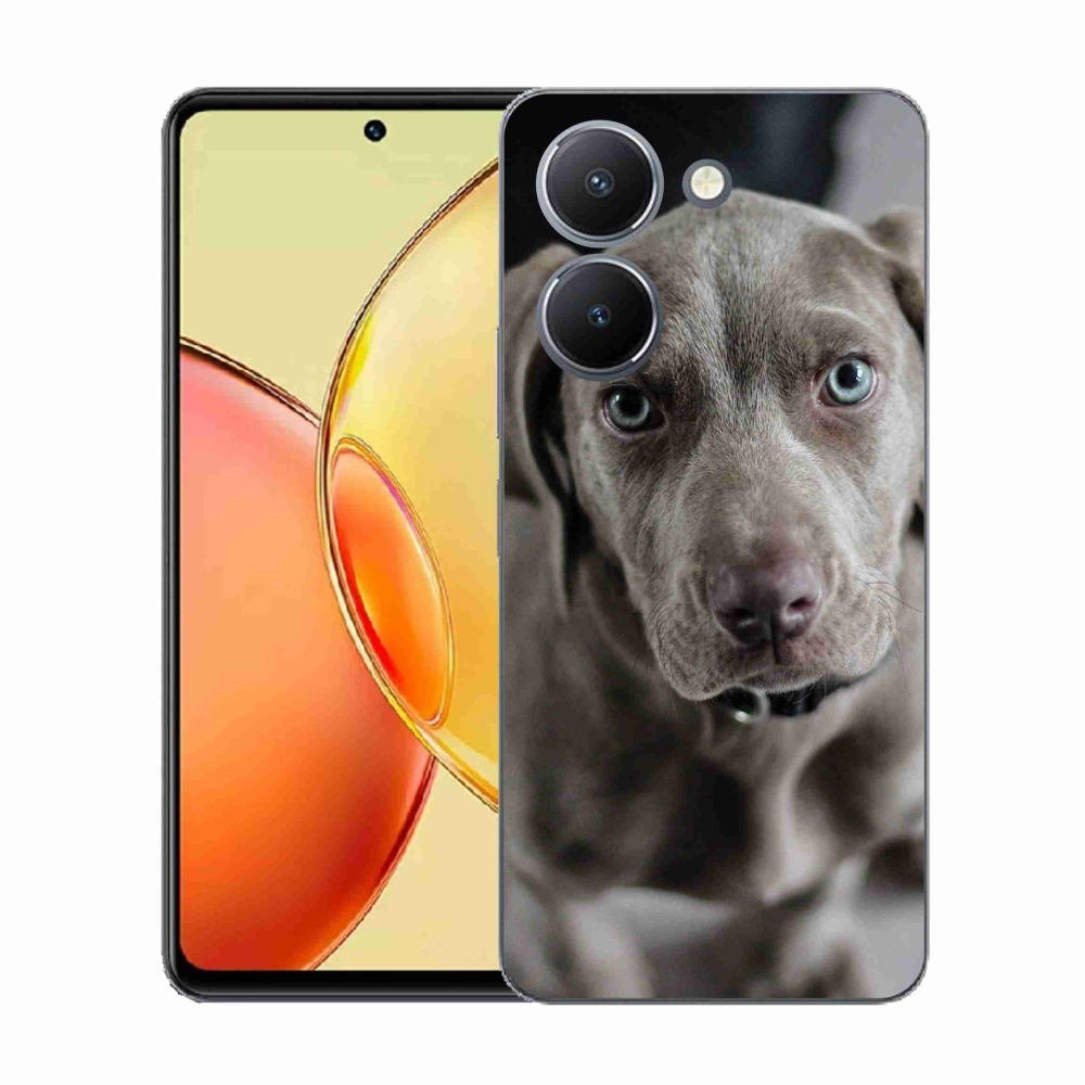 Zselés borítás mmCase a Vivo Y36-hoz - Weimaraner