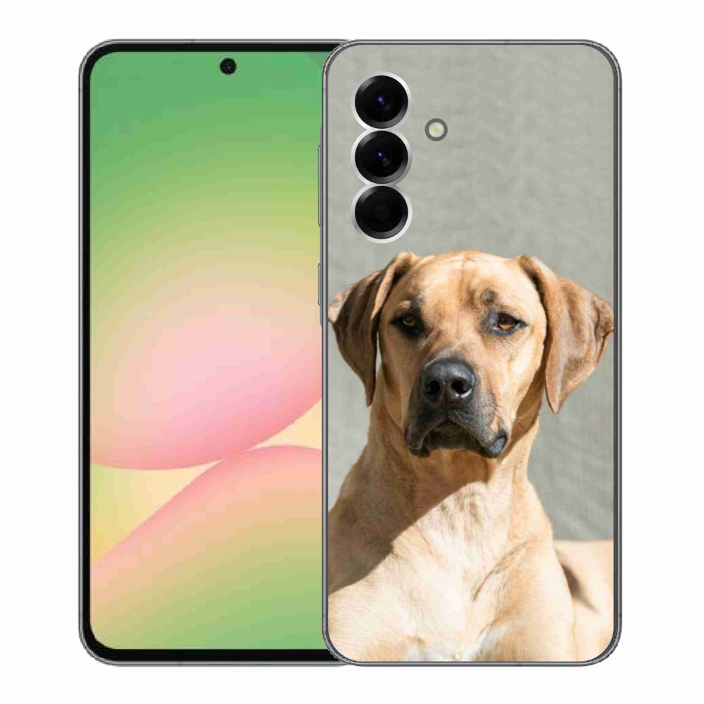 Gél védőhuzat mmCase Samsung Galaxy A56 5G - ridgeback