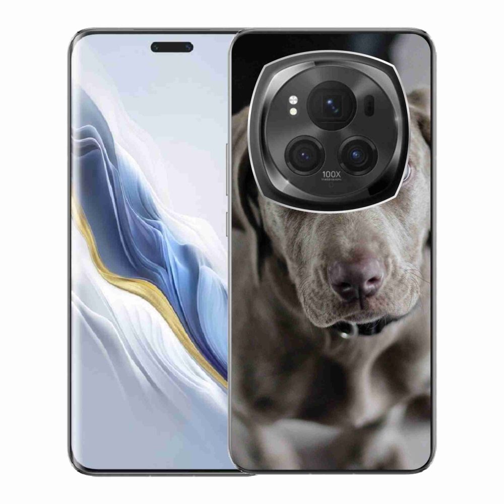Gél tok mmCase a Honor Magic 6 Pro 5G számára - Exotic Hound